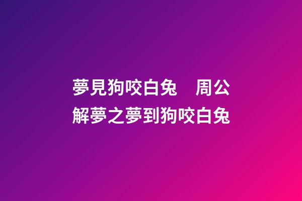 夢見狗咬白兔　周公解夢之夢到狗咬白兔